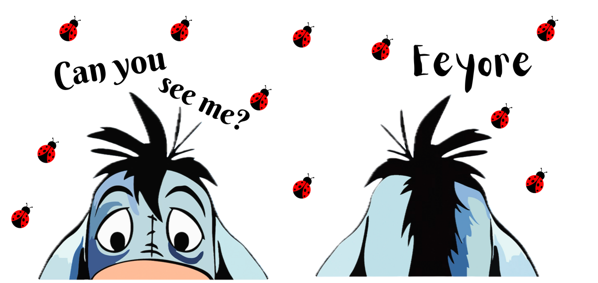Can You See Me