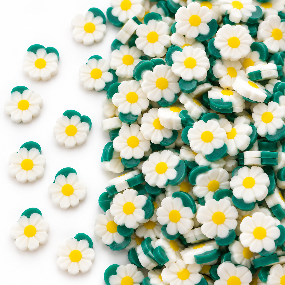 Delicate Daisy