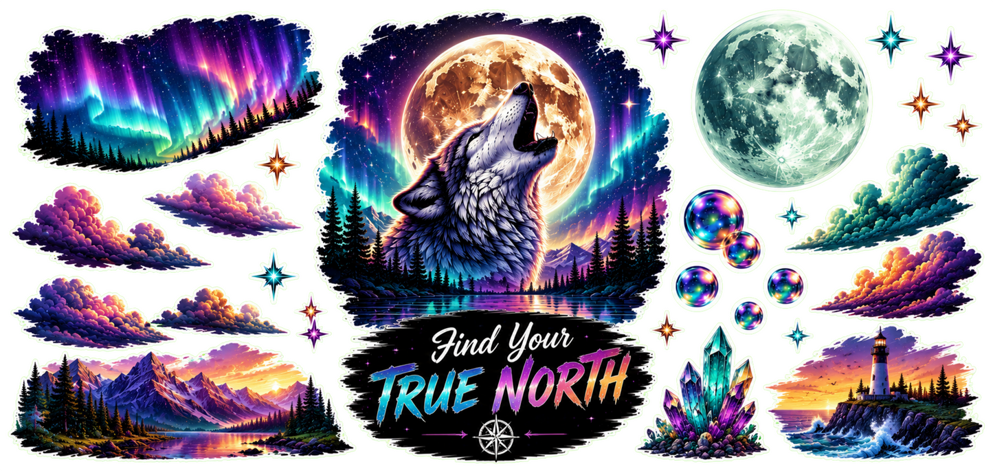 Find Your True North