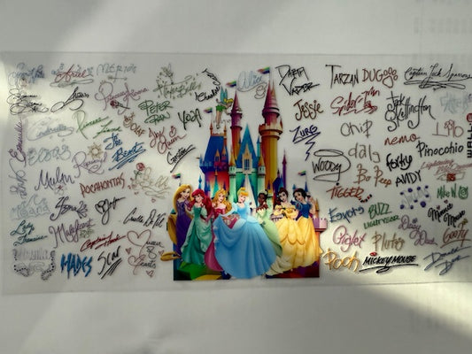 Princess castle with princess