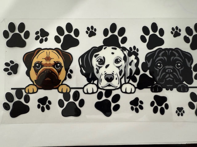 Puppies - Pug