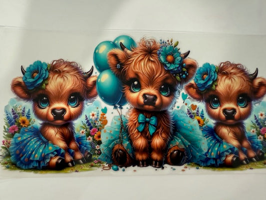 Miniature cow - Blue Balloons and Roses