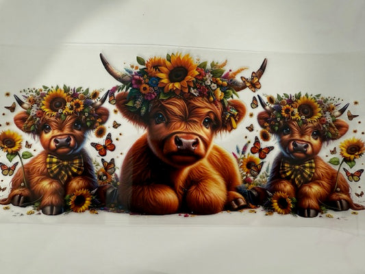 Miniature cow - Sunflowers