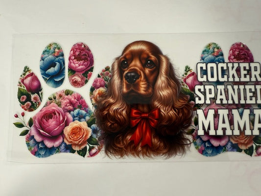 Cocker Spaniel  Mama