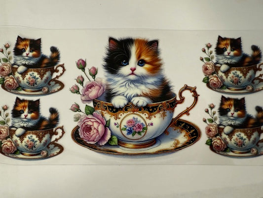 Kitty Cat - In a Mugs