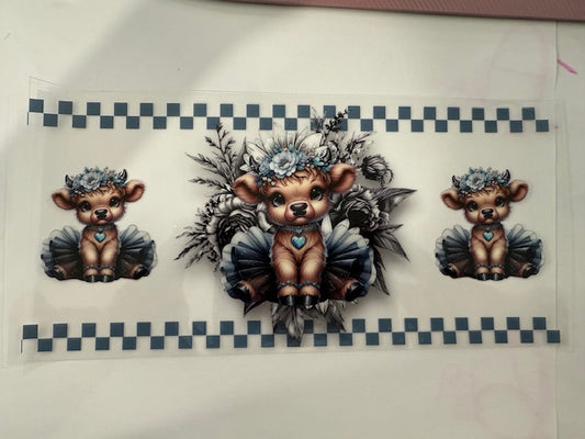 Miniature cow - Checkers blue colors