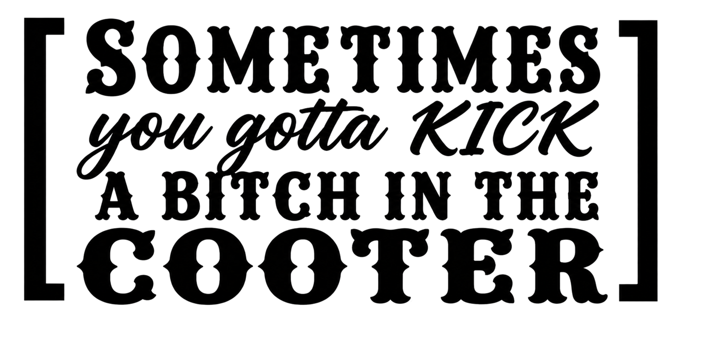 Sometimes You Gotta Kick a Bitch in the Cooter