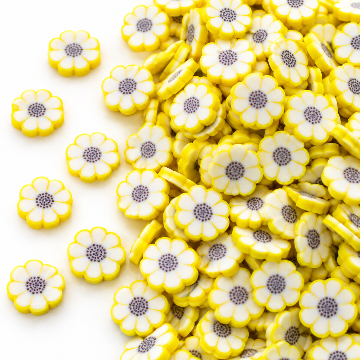Sunshine and Sunflowers