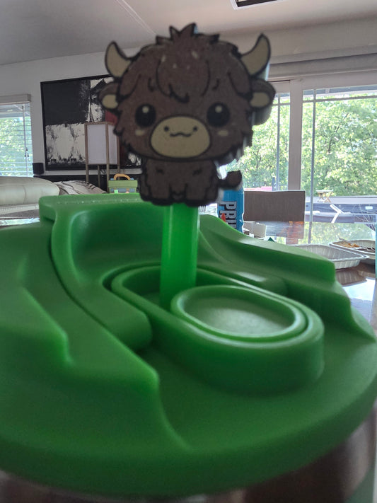 Highland cow