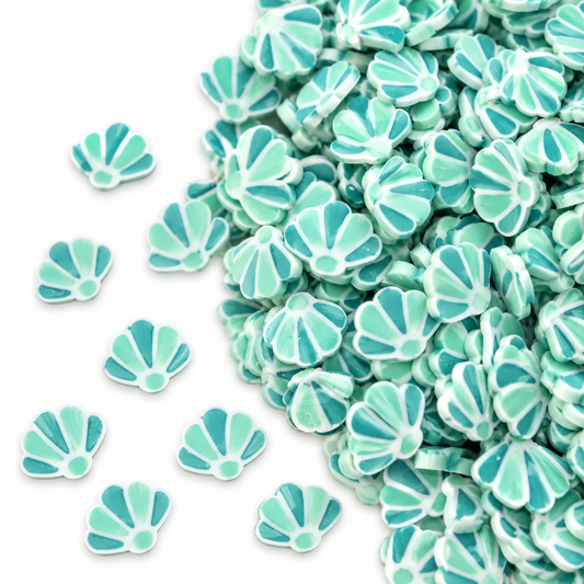 Aqua Shells