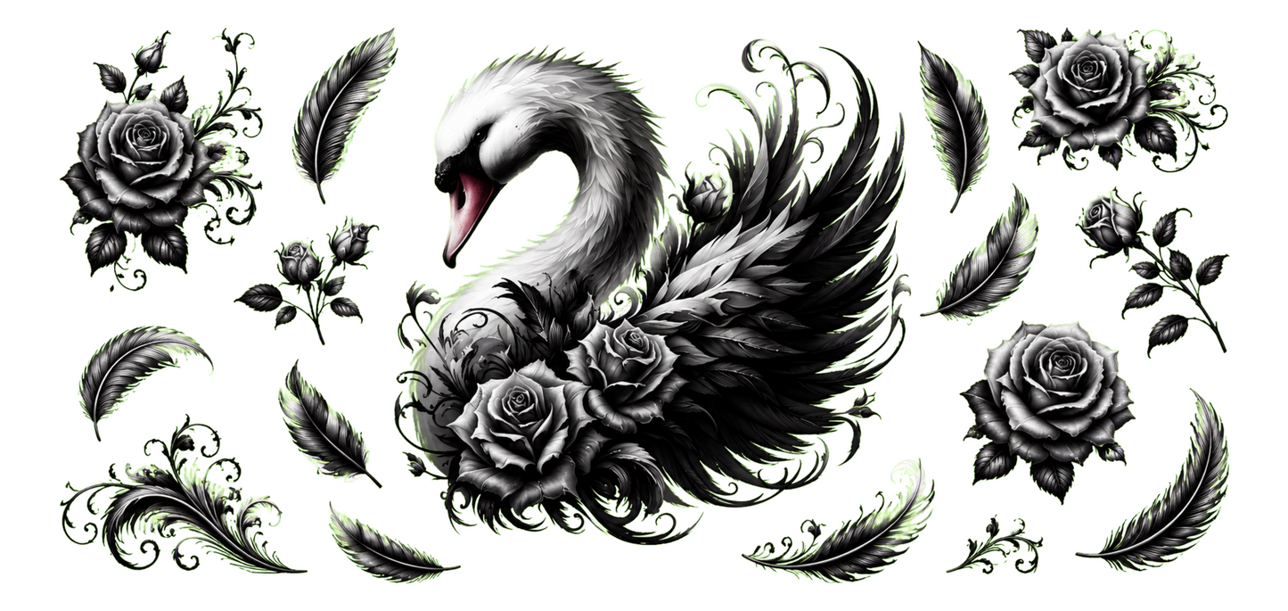 Black White Swan
