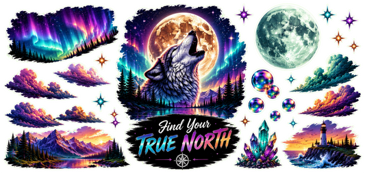 Find Your True North