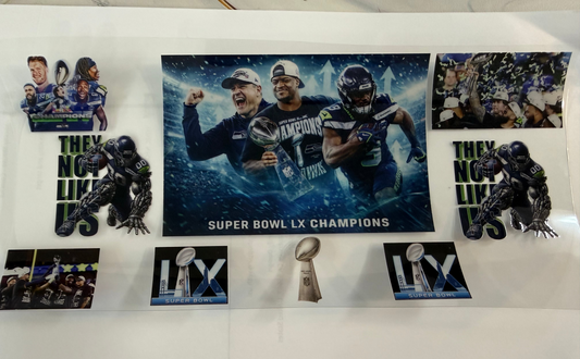 Super Bowl Champions