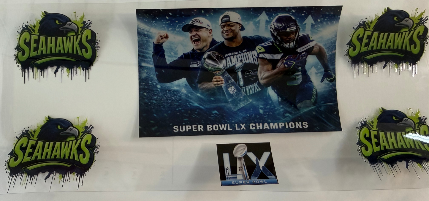 Super Bowl Champions