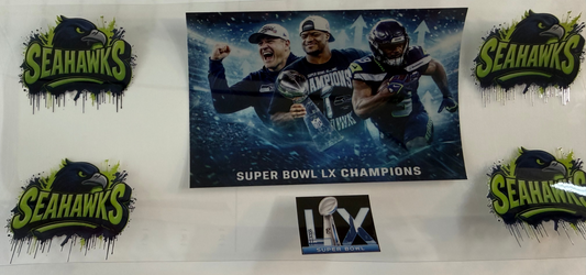Super Bowl Champions