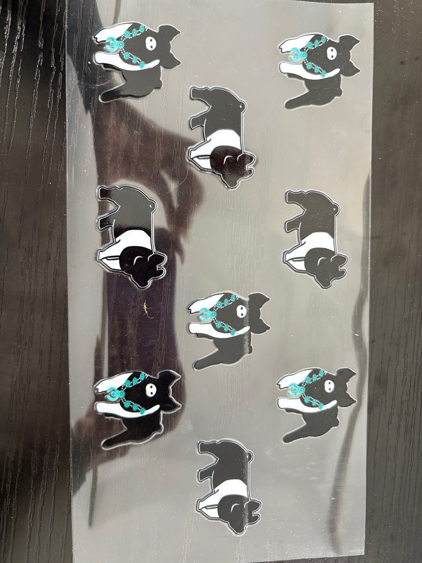 Teal show pig