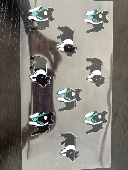 Teal show pig