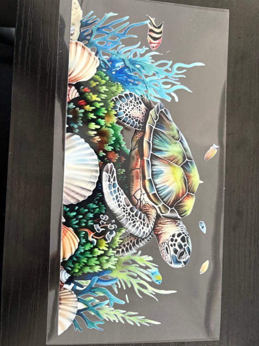 Turtle