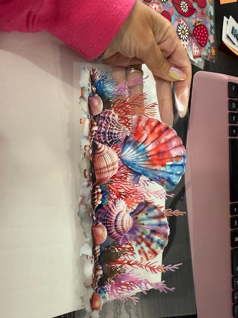 Sea Shell