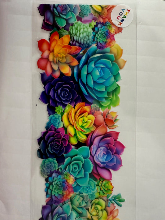 Colorful Flowers