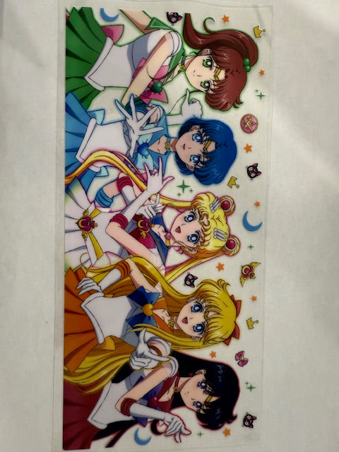 Sailor Moon Anime 10