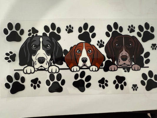 Puppies - Basset Hound