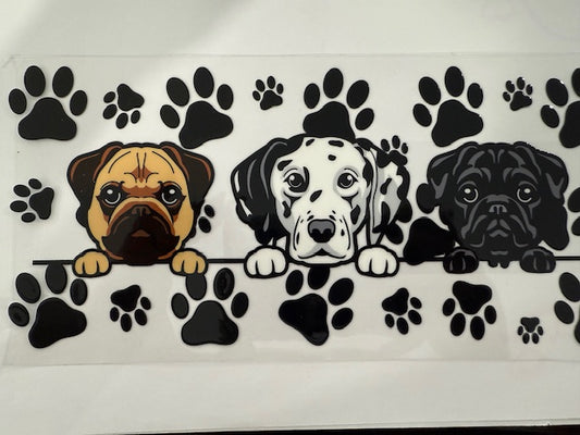 Puppies - Pug