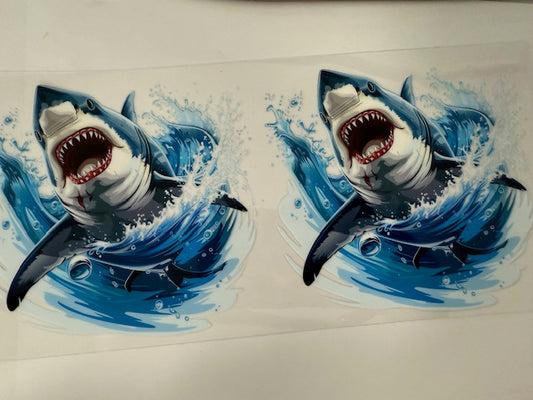 Shark
