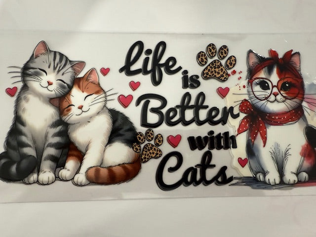 Life is better with cats