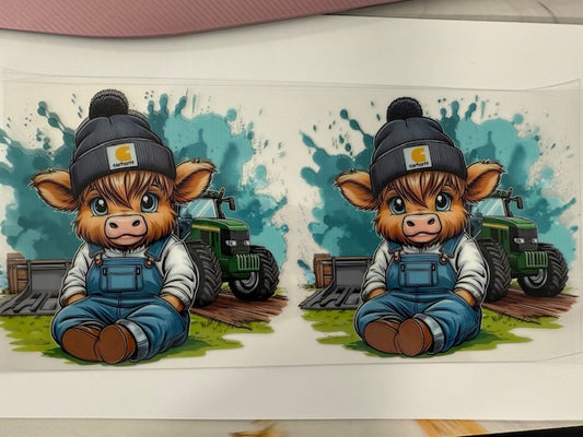 highland cow - Farmer