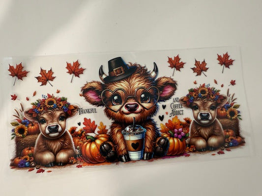 highland cow - Thankful