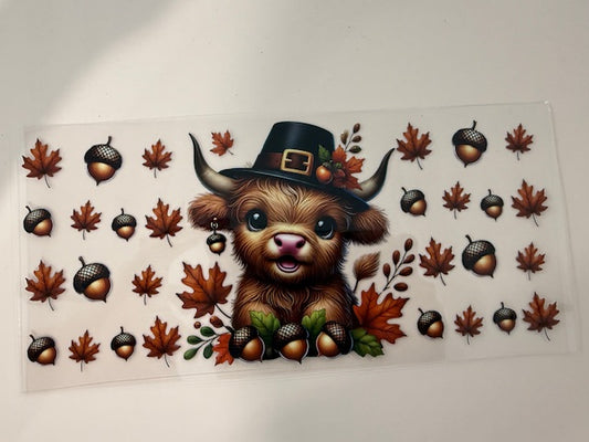 highland cow - Fall