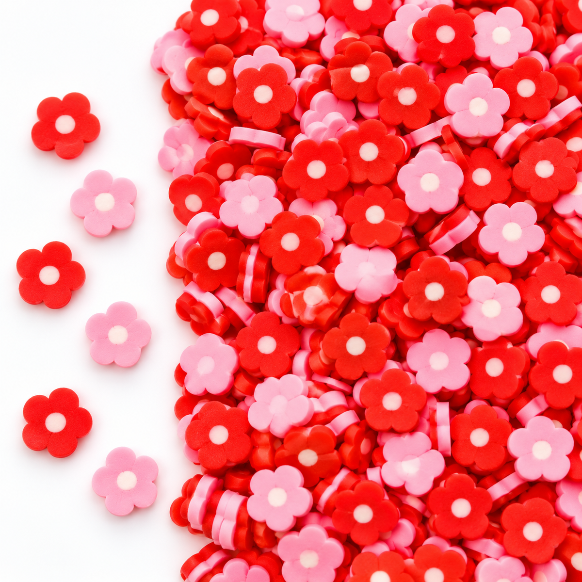 Red and Pink Flower