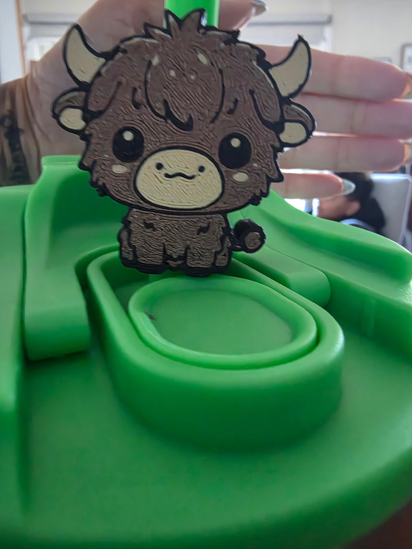 Highland cow