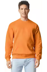 Soft style Crewneck sweatshirt